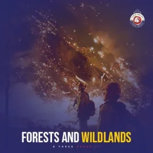 forests and wildlands